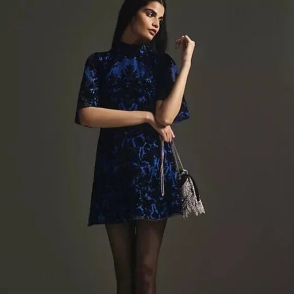 Anthropologie Velvet Burnout  Mini Dress - Picture 4 of 12